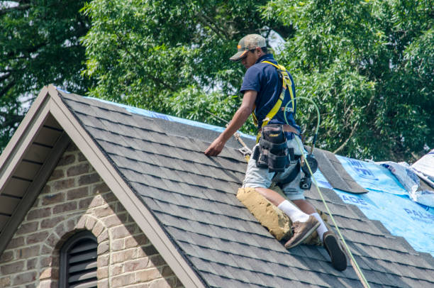 Best Shingle Roofing Installation  in Gurdon, AR